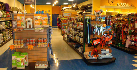 英國(guó)在線寵物用品銷售熱潮 商鋪旺鋪現(xiàn)象解析