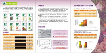 以色列化工集團（ICL）產品市場營銷策劃 以創新與可持續發展驅動增長